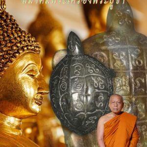 Thần Kim Quy - Thần Rùa - Trấn Trạch - Hàn Gắn Long Mạch Đất